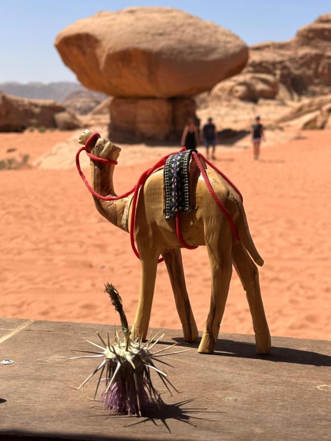 Wadi Rum Oryx Hostel & Tours 외부 사진